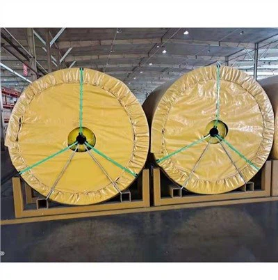 Dyamèt Conveyor Belt